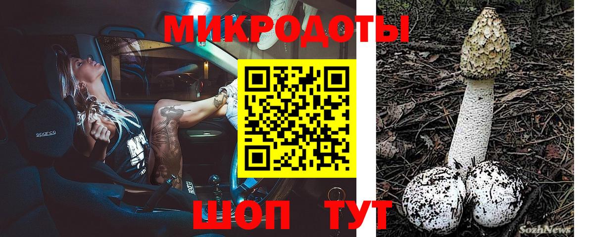 Псилоцибиновые грибы GOLDEN TEACHER Азнакаево