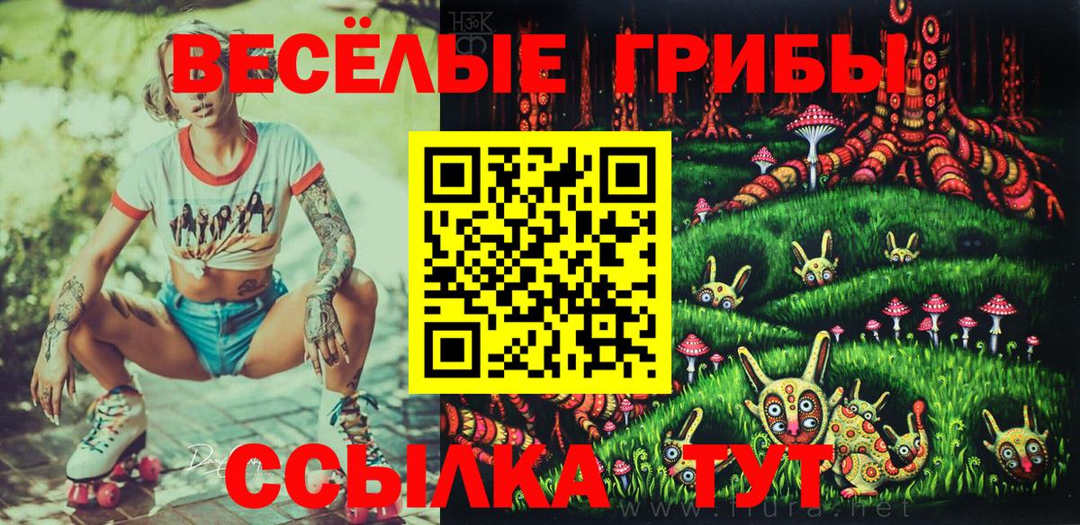 Галлюциногенные грибы прущие грибы  Вход с VPN  Азнакаево 